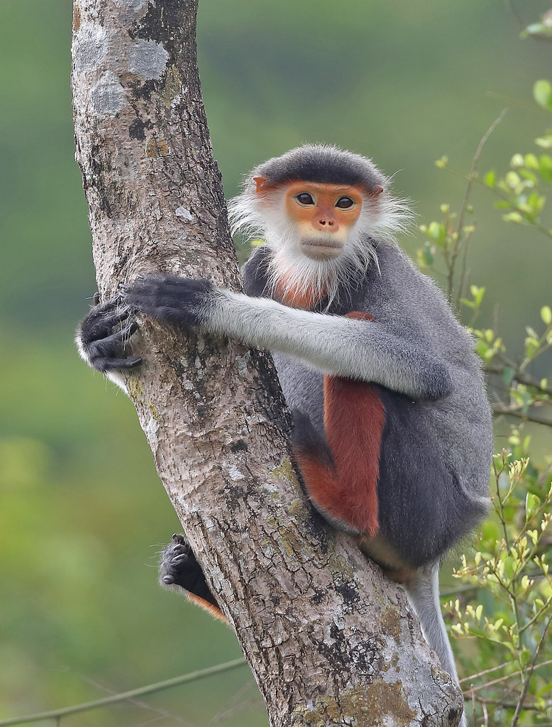 Mời quý độc giả xem video: Đà Nẵng chuyển mình xứng tầm "anh cả" miền Trung.