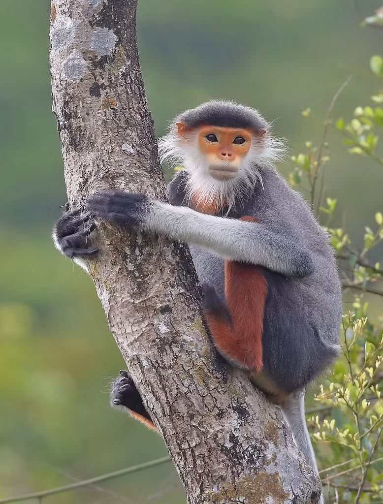 Mời quý độc giả xem video: Đà Nẵng chuyển mình xứng tầm "anh cả" miền Trung.