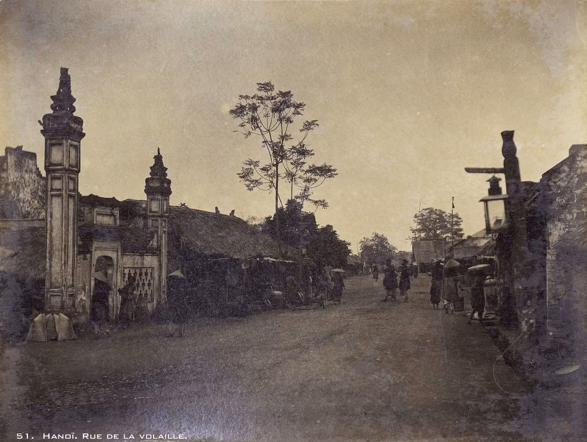 Con phố trong ảnh này chuyên bán gia cầm, có lẽ là phố Hàng Gà. Công trình bên trái có thể là cổng đình Tân Khai, nay ở 44 Hàng Gà.