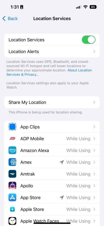 Ly do nguoi dung nen tat dinh vi tren iPhone-Hinh-3