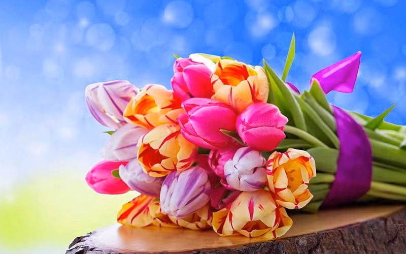 Be gai co gio sinh nay vi nhu vien ngoc quy cua gia dinh