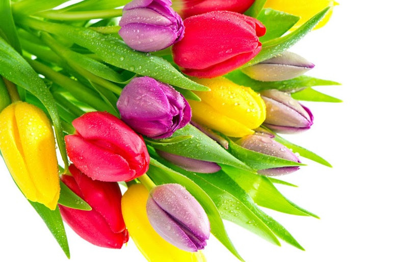 Be gai co gio sinh nay vi nhu vien ngoc quy cua gia dinh-Hinh-3