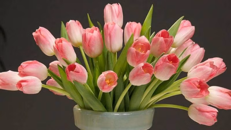 Be gai co gio sinh nay vi nhu vien ngoc quy cua gia dinh-Hinh-2