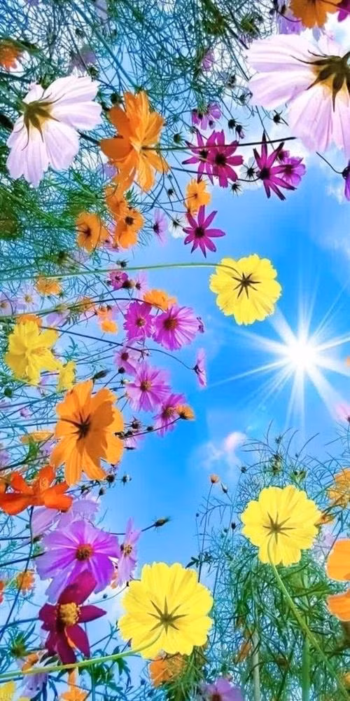 4 chom sao gioi thao tung tam ly-Hinh-3