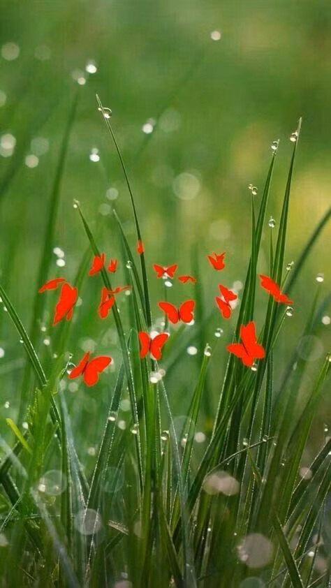 4 chom sao gioi thao tung tam ly-Hinh-4