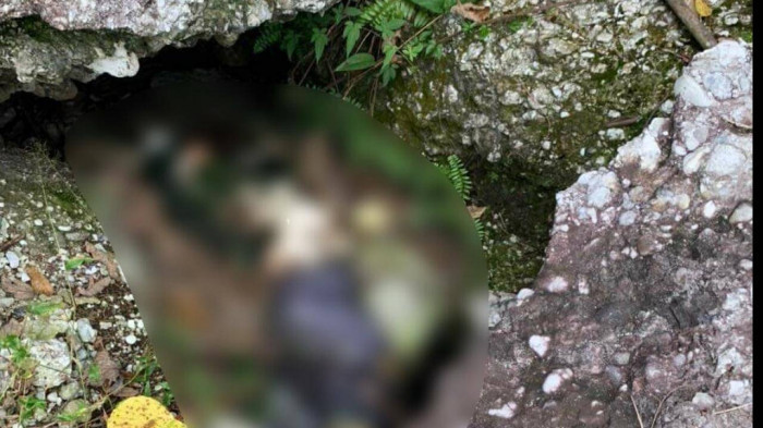 Phát hiện thi thể đang phân hủy trong rừng ở Quảng Ninh Phat hien thi the dang phan huy trong rung o Quang Ninh