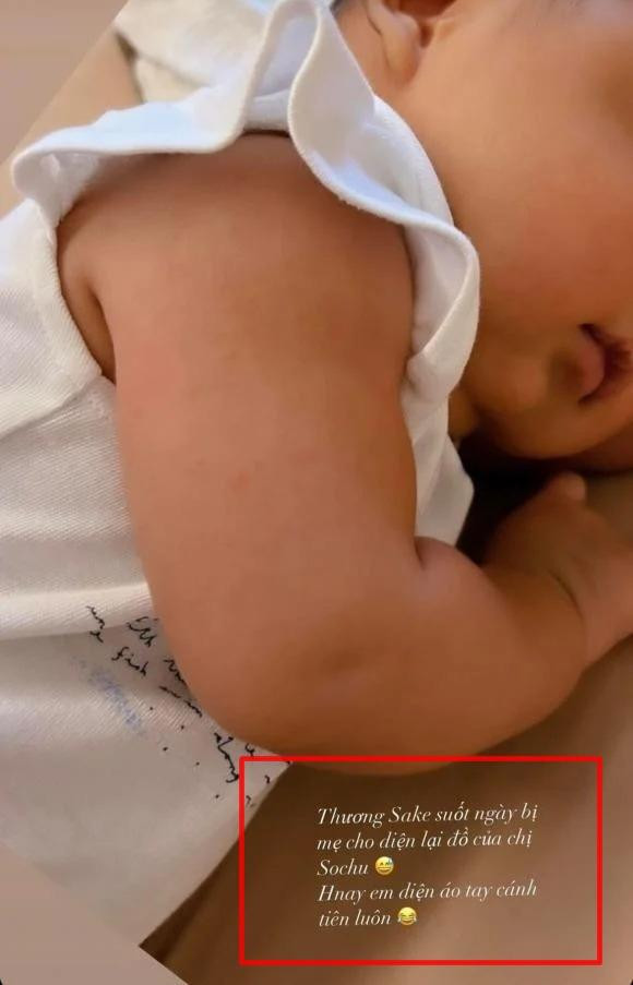 Soi cuoc song hon nhan cua Phanh Lee voi dai gia-Hinh-2