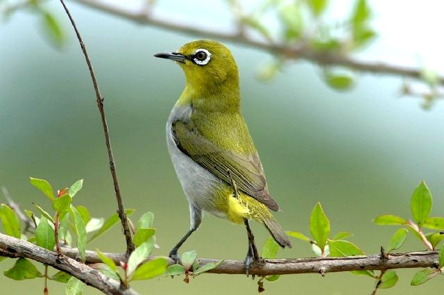 Sinh con vào 5 ngày âm lịch này, dù trai hay gái đều có tài Sinh con vao 5 ngay am lich nay, du trai hay gai deu co tai