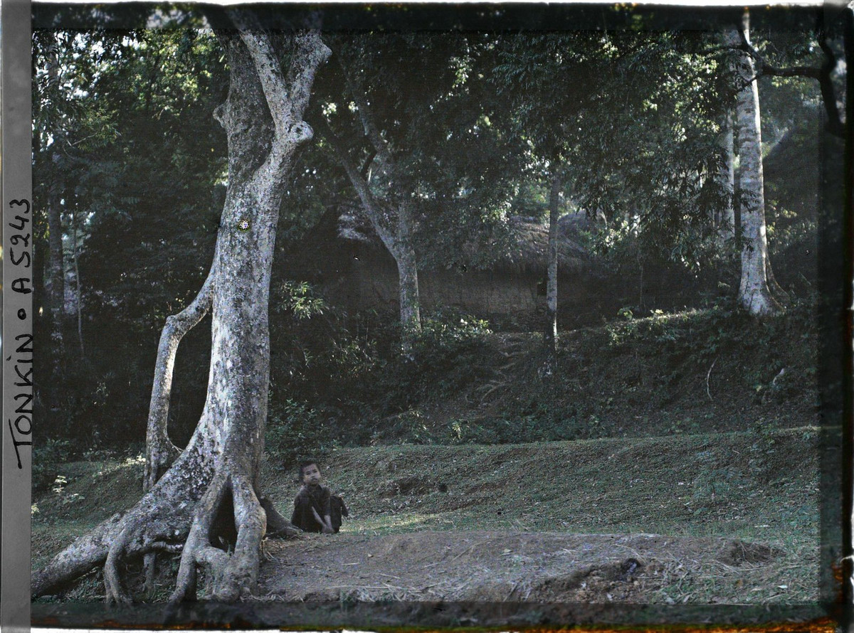 Đứa trẻ ngồi dưới gốc cây bên rìa một ngôi làng ở ngoại thành Hà Nội năm 1914-1915. Ảnh: Léon Busy/Collections.albert-kahn.hauts-de-seine.fr.