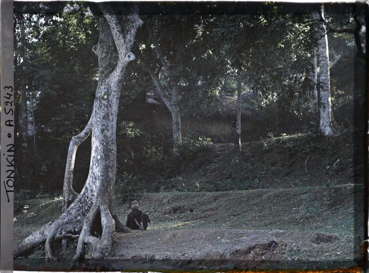 Đứa trẻ ngồi dưới gốc cây bên rìa một ngôi làng ở ngoại thành Hà Nội năm 1914-1915. Ảnh: Léon Busy/Collections.albert-kahn.hauts-de-seine.fr.