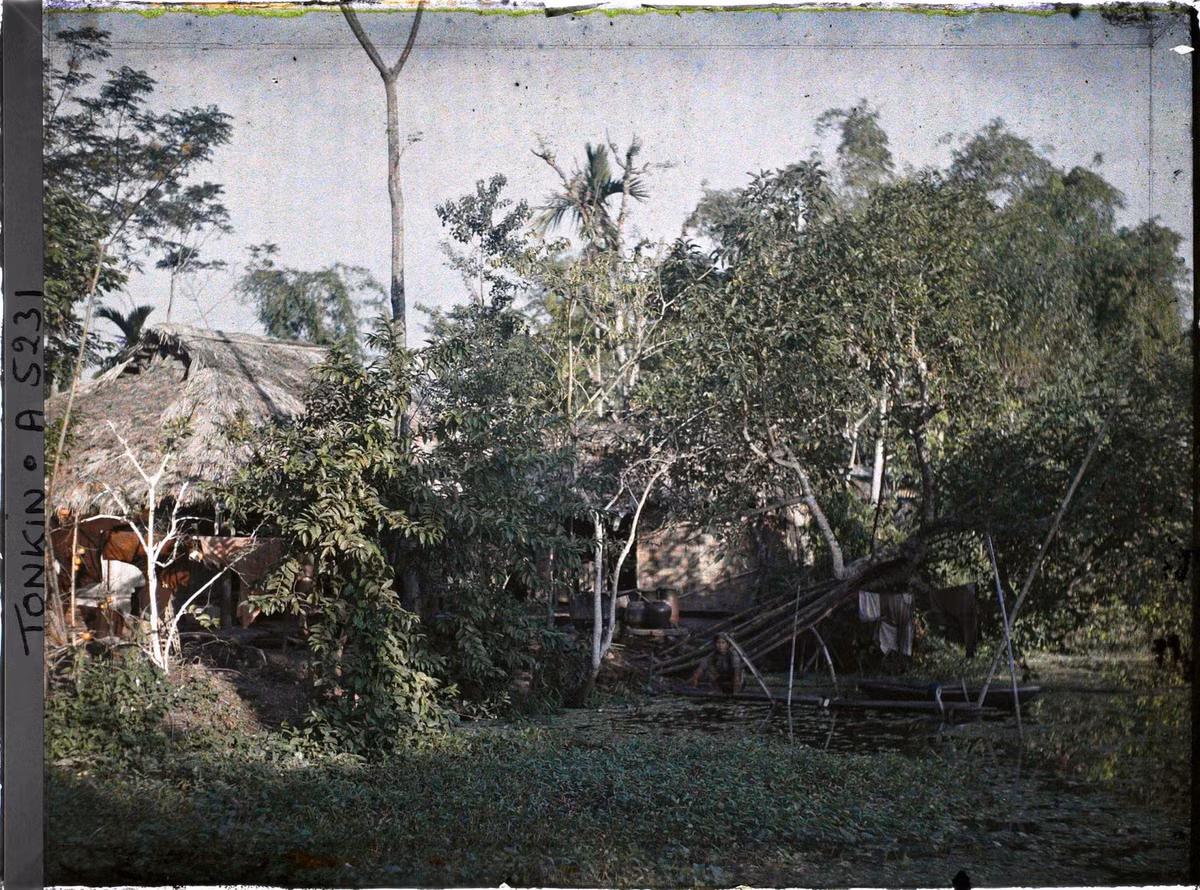 Ngôi nhà bên bờ ao. Trên cầu ao có người ngồi.