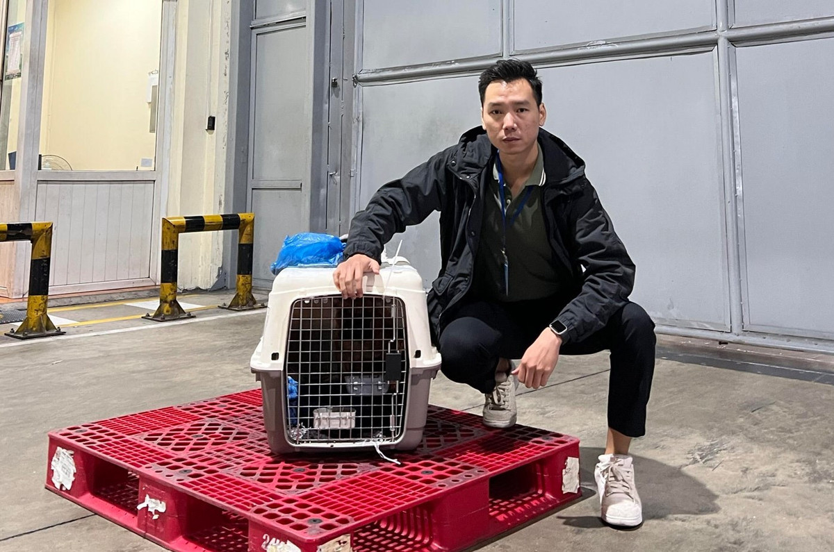 Nhap khau cho canh, nguoi choi co the mat trang hang tram trieu dong