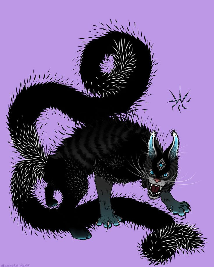 Còn có giai thoại rằng Nekomata tu luyện thêm thì nó sẽ sống lâu đến bất tử và được gọi là Nekosho.