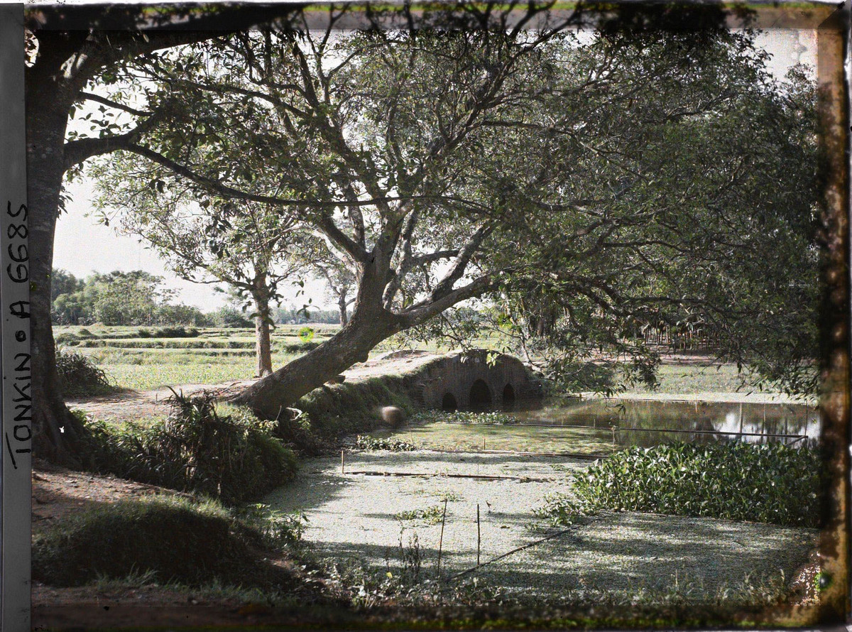 Khung cảnh thôn dã ở làng Định Công xưa.