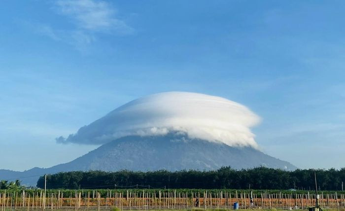 Theo Hội Thiên văn Hà Nội (HAS), hiện tượng trên thực chất là mây dạng thấu kính (Lenticular clouds). Đây là những đám mây đứng yên, có hình dạng tương tự thấu kính và hình thành ở những dãy núi cao. Thông thường mây thấu kính hình thành theo hướng song song với hướng gió, tách thành ba loại gồm Altocumulus, Stratocumulus và Cirrocumulus (lần lượt là mây trung tích, tầng tích và ti tích) tuỳ vào điều kiện thời tiết, địa hình. Ảnh: Do Vinh Quan.