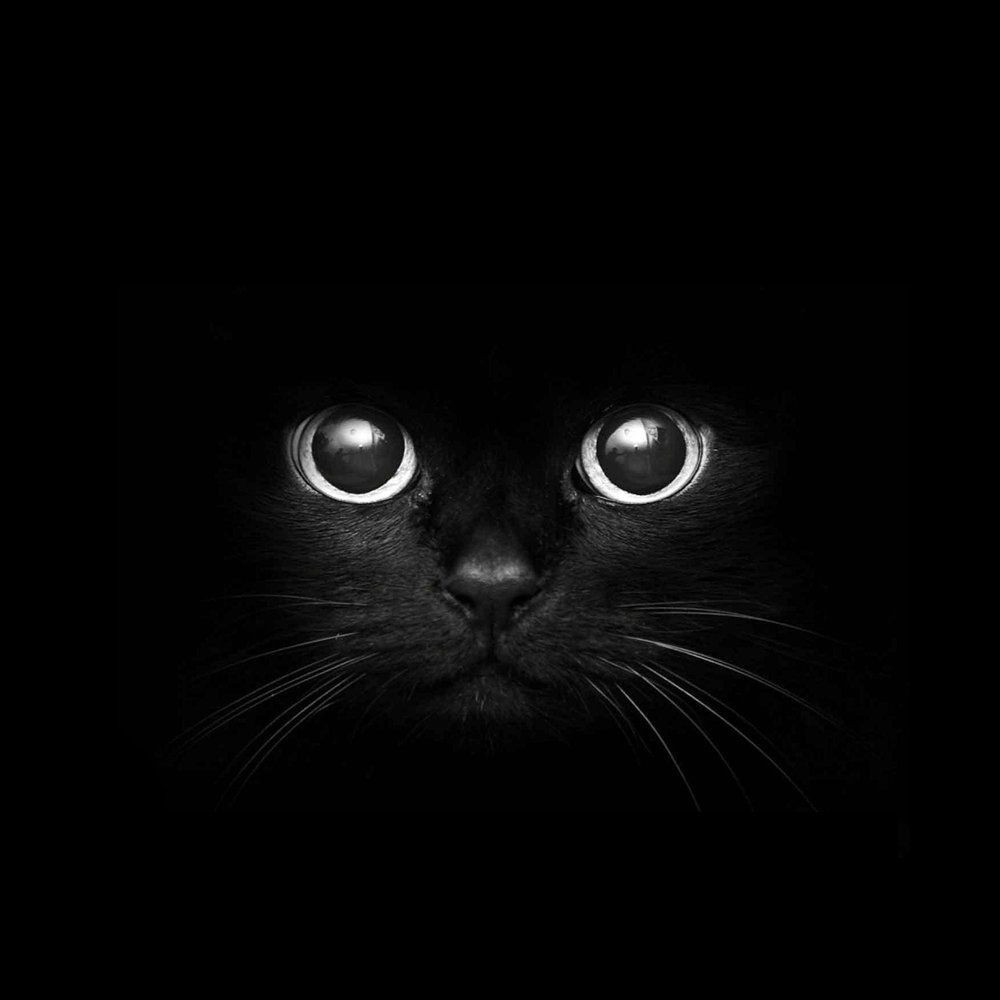 Một số quan niệm mê tín của người Việt xưa liên quan đến người mèo. Ví dụ như "mèo đến nhà thì khó"; mèo đen nhảy qua xác một người mới chết, người đó sẽ hóa thành quỷ nhập tràng...