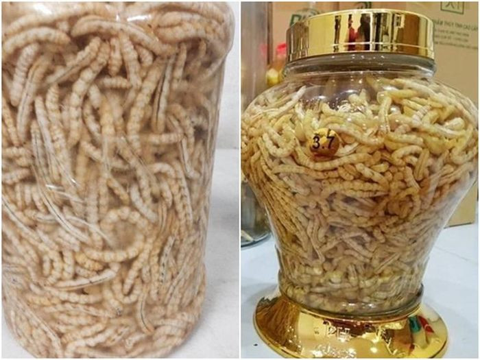 Mấy năm gần đây loại côn trùng này được chị em truyền tai nhau có nhiều công dụng với sức khỏe, đặc biệt nó được mệnh danh là "thần dược phòng the" nên nhiều người tìm mua.