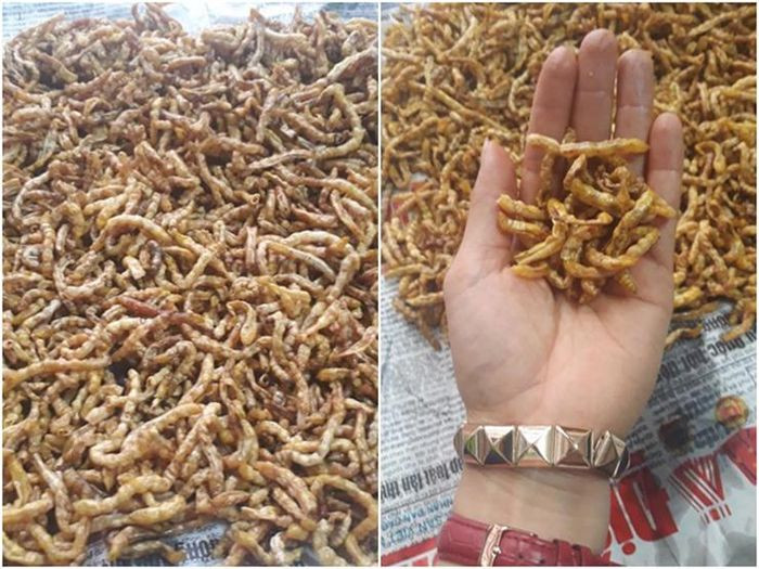 Rượu sâu chít có tác dụng tăng cường sinh lực cho nam giới và làm đẹp da cho phụ nữ. Chính nhờ những tác dụng đó mà sâu chít được coi là "đông trùng hạ thảo" của người Việt Nam, được lùng mua khắp nơi dù giá không hề rẻ.