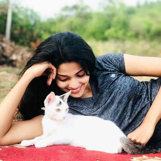 Ở Ấn Độ, người ta tìm thấy tượng những con mèo khổ hận biểu thị cho phúc lạc của thế giới động vật.