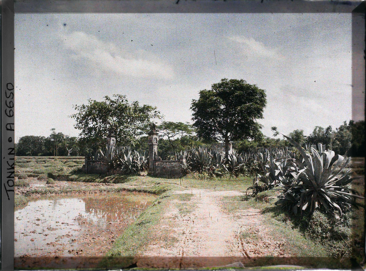 Một khu lăng mộ ở Hà Đông, 1915.