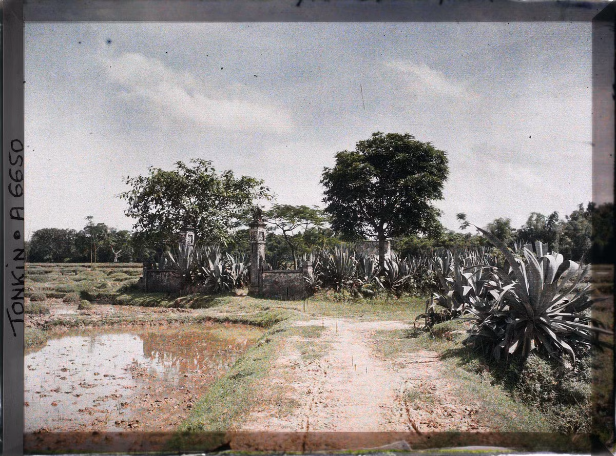 Một khu lăng mộ ở Hà Đông, 1915.
