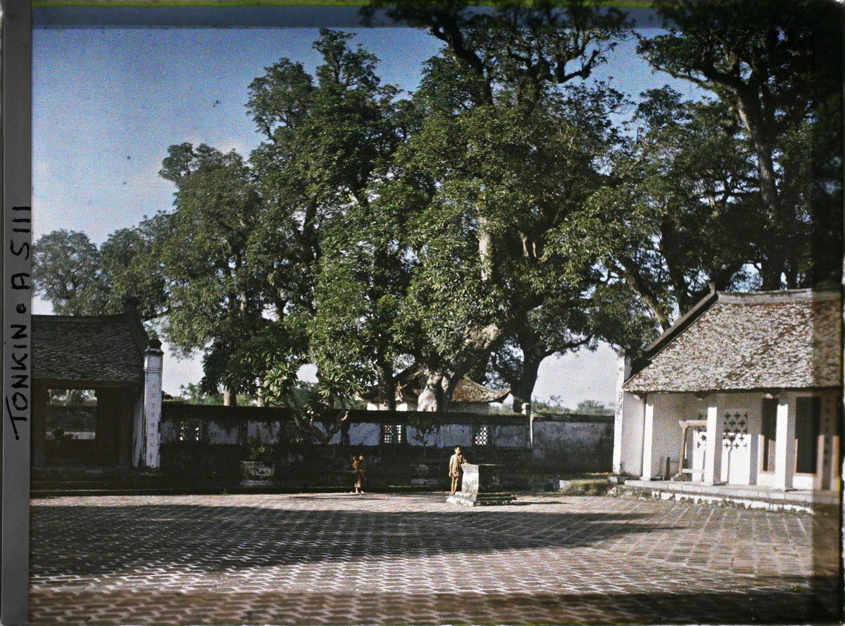 Trong sân của khu Đại Thành.