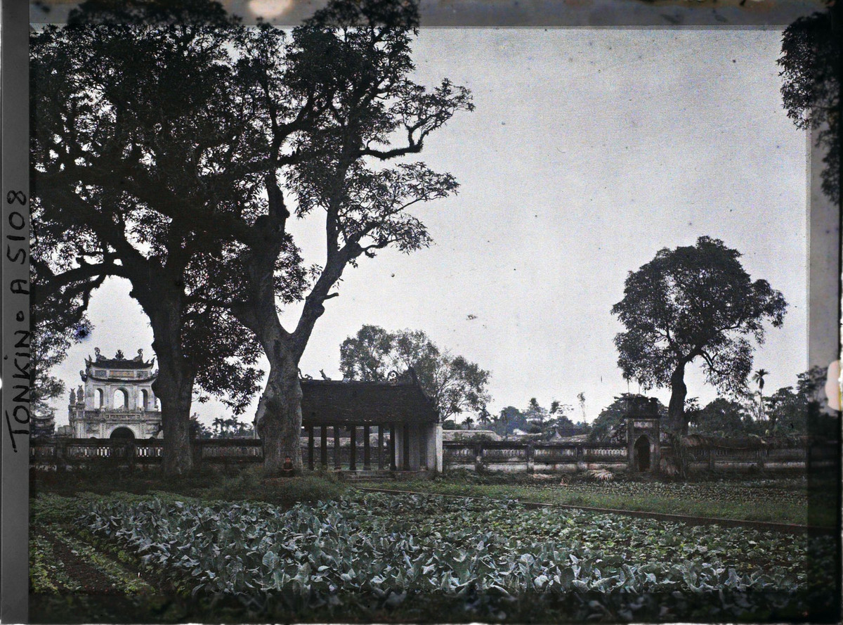 Anh dac biet quy Van Mieu - Quoc Tu Giam va chua Mot Cot nam 1914-1915-Hinh-2