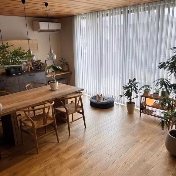 Vo Nhat 43 tuoi noi dinh noi dam vi biet trang tri nha sieu xinh