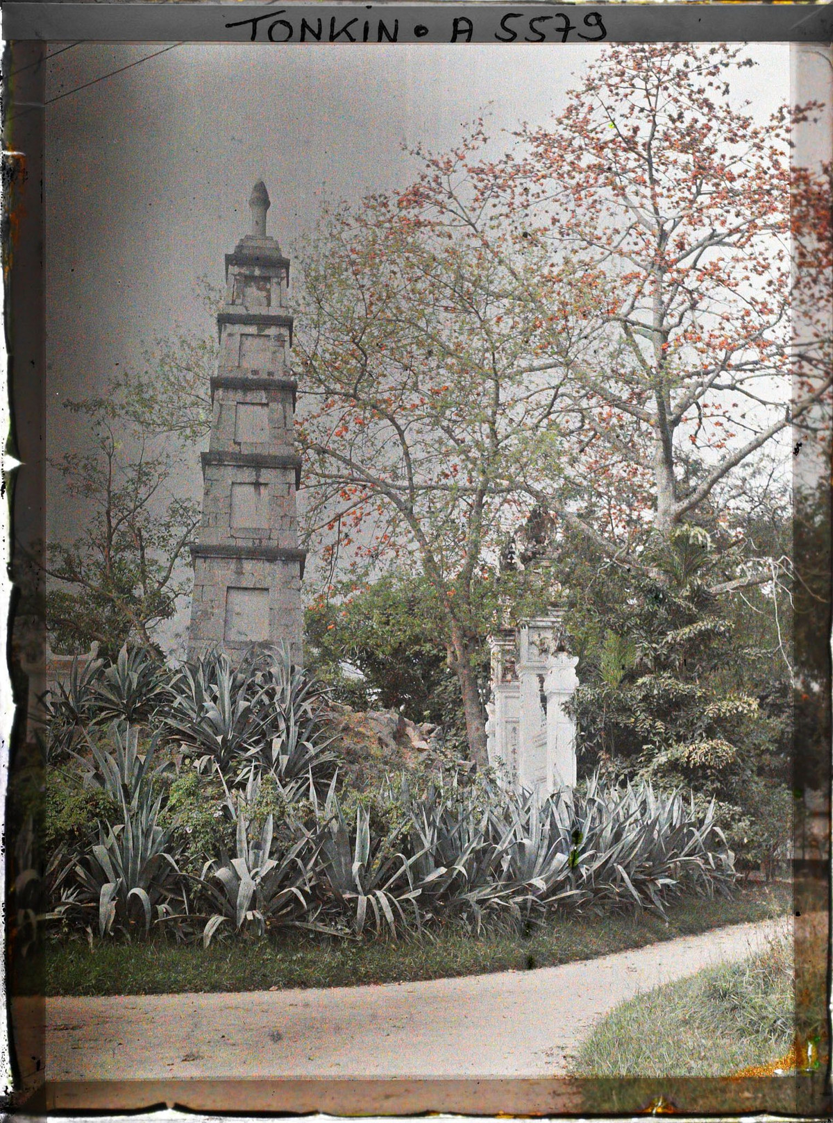 Cây hoa gạo trổ bông bên tháp Bút, lối vào đền Ngọc Sơn, Hà Nội tháng 4/1916. Ảnh: Leon Busy / Collections.albert-kahn.hauts-de-seine.fr