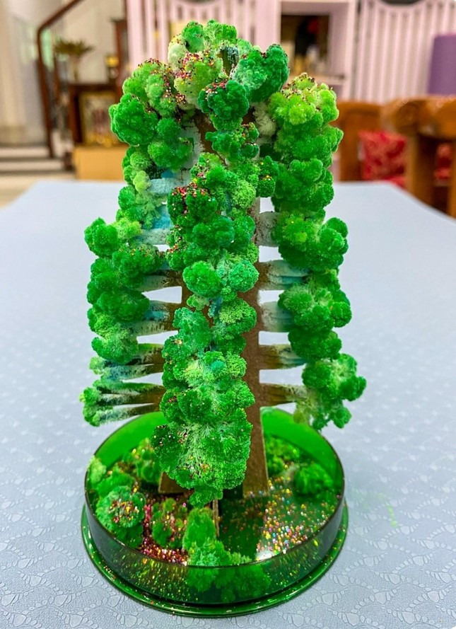 Khong khi Giang sinh ua vao lop hoc: Gen Z “bat trend” lam cay thong-Hinh-3