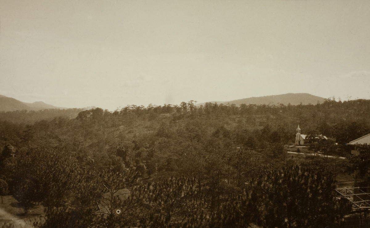 Rừng thông bạt ngàn ở Đà Lạt xưa. Nhà thờ phía bên phải được xây năm 1923, nằm phía sau nhà thờ Con Gà ngày nay.