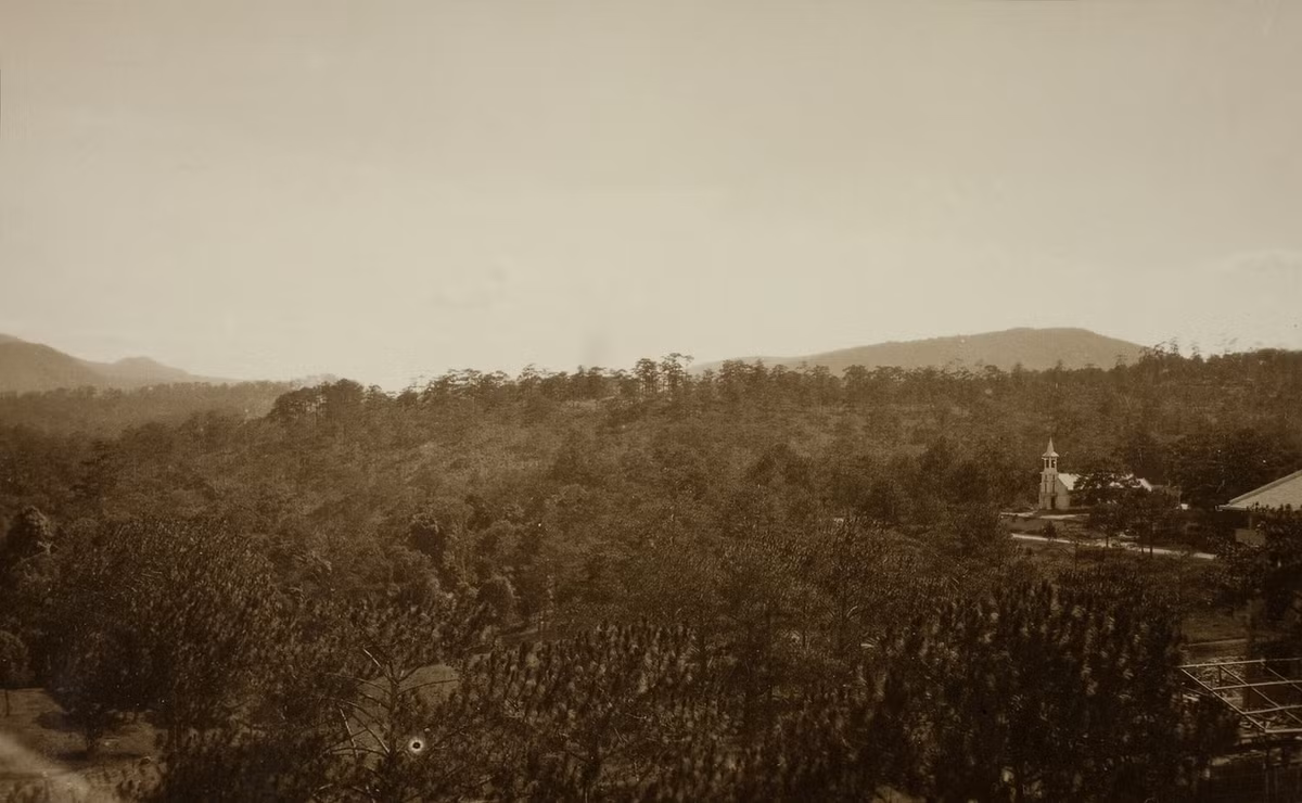 Rừng thông bạt ngàn ở Đà Lạt xưa. Nhà thờ phía bên phải được xây năm 1923, nằm phía sau nhà thờ Con Gà ngày nay.