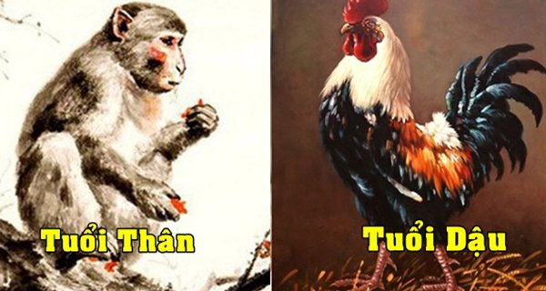 Dan ong thuoc 5 con giap nay khong bao gio lang nhang, suot doi chung thuy