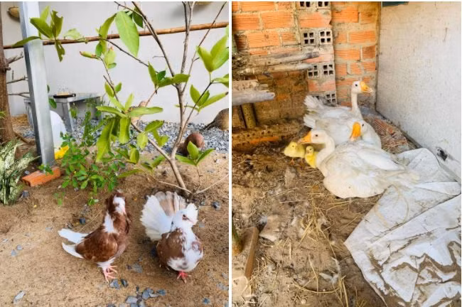 Mau nha cap 4 voi bep xay gach do dam tinh truyen thong-Hinh-10