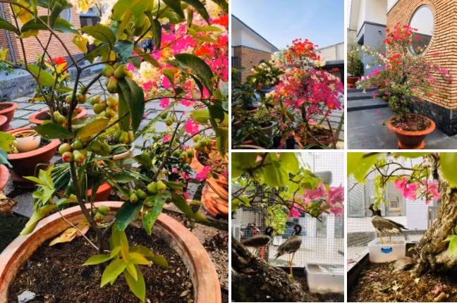 Mau nha cap 4 voi bep xay gach do dam tinh truyen thong-Hinh-8