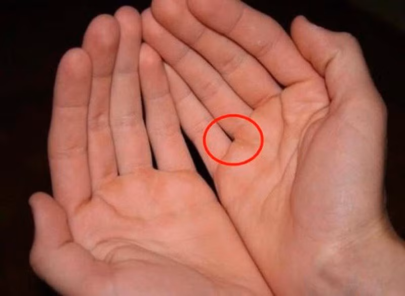 Chi 1 giay nhin ke ho ban tay, biet tuong lai giau co hay tung thieu-Hinh-2