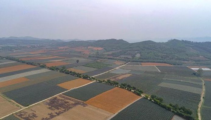 Kien nghi thu hoi 129ha dat giao cho doanh nghiep Xuan Truong lam khu du lich