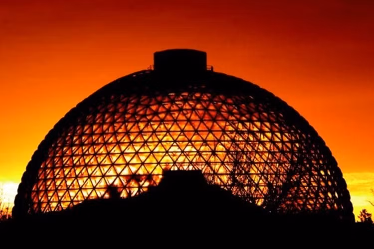 Vườn thú Red McCombs Wildlife, Texas, Mỹ: Với diện tích 12.000 acres, đây chính là vườn thú rộng nhất thế giới. Vườn thú này có hẳn một sa mạc ở bên trong và có bộ sưu tập mèo phong phú nhất thế giới.