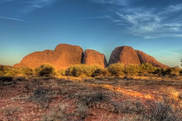 Australia không chỉ có loài kỳ nhông thay màu, đổi sắc.