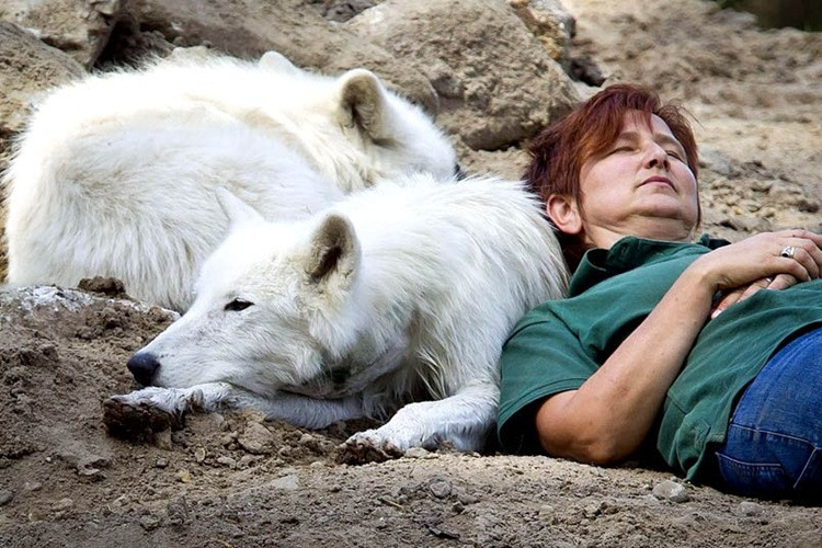 Nhà sinh vật học người Đức Marion Ebel thư giãn cùng 2 chú sói Bắc Cực.