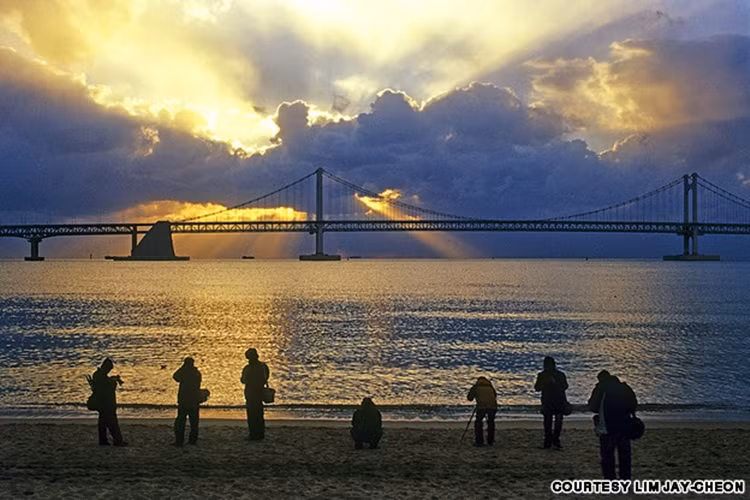Gwanggalli là cầy cầu dài nhất Hàn Quốc và là một biểu tượng của thành phố Busan.