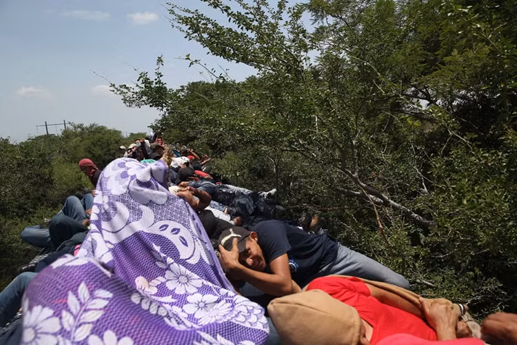 ...bất chấp việc suýt bị cành cây gạt xuống đất.