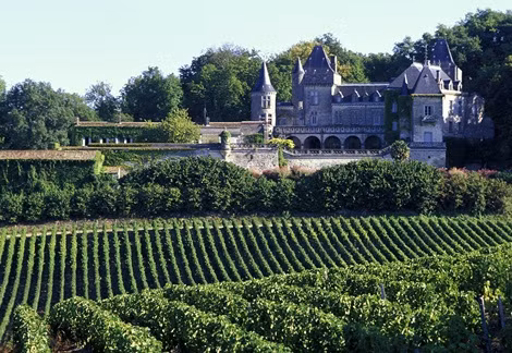 Đầu tư vào khu vực nông thôn, như ở vùng trồng nho Bordeaux là chiến lược của các tỷ phú Trung Quốc.