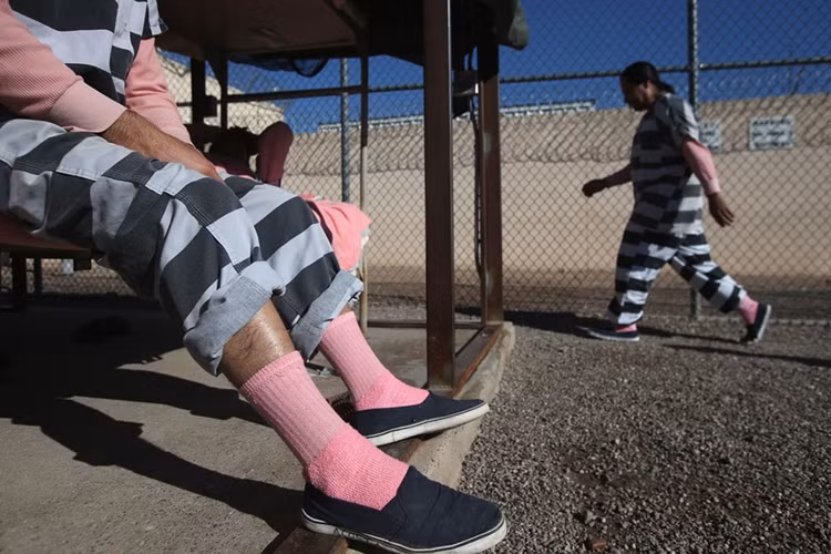 ...và bị tống vào các trại giam chờ sẵn ở Mỹ.