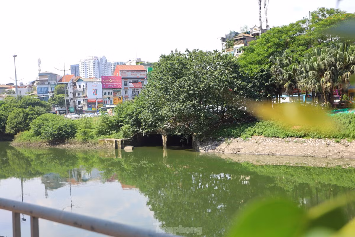 Từ 26/7, theo ghi nhận của phóng viên Tiền Phong, nước sông Tô Lịch dâng cao, có màu xanh lục, không còn hình ảnh dòng nước đen, hôi thối như thường thấy.