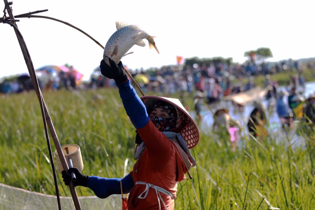 Hang tram nguoi tham gia le hoi bat ca Vuc Rao-Hinh-9