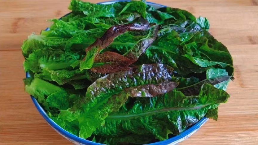 Loai rau bo duong, co axit folic gap 20 lan can tay-Hinh-2