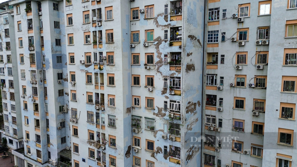 Đây là nơi ở của người dân từ các phố Hàng Bồ, Ô Chợ Dừa, Khâm Thiên, Ngã Tư Sở… với khoảng 445 hộ dân sinh sống.