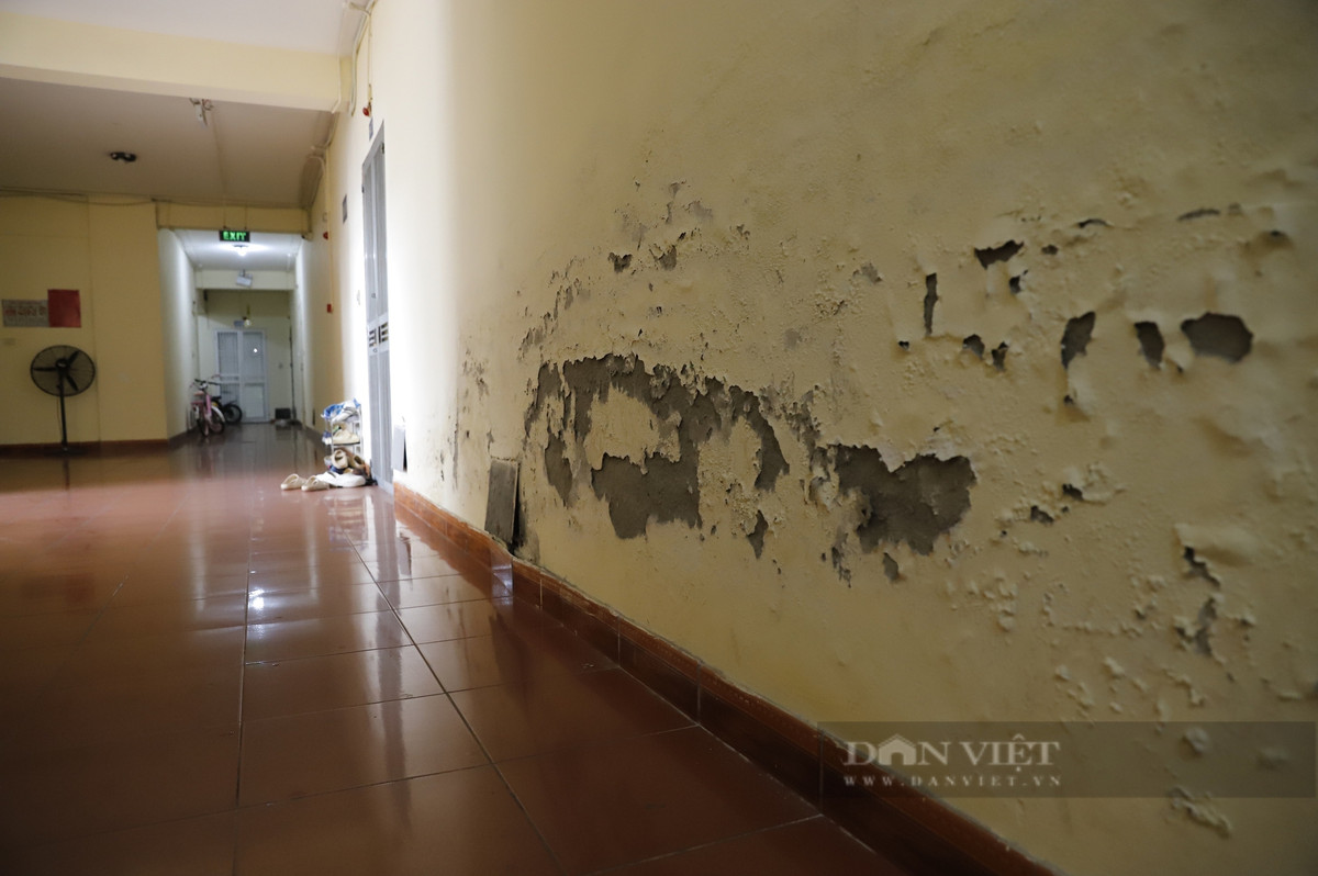 Không chỉ bên ngoài xuống cấp, nhiều dãy hành lang bên trong tòa nhà cũng bong tróc, thấm dột tường.