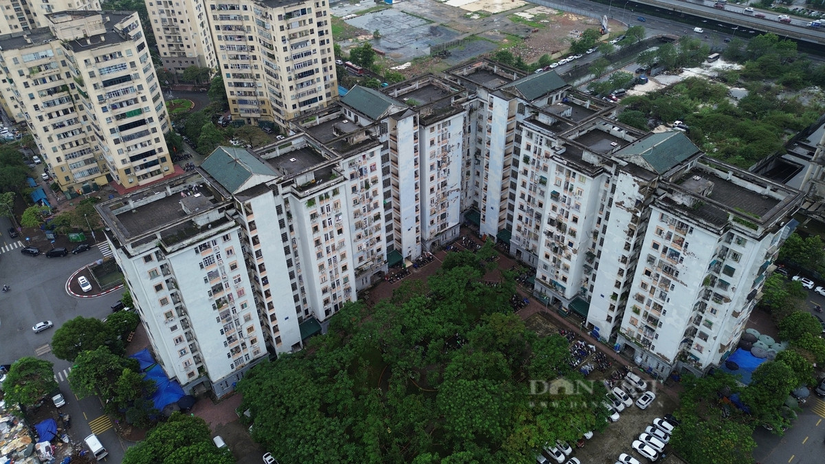 Mặc dù hạ tầng xuống cấp nghiêm trọng, nhưng theo khảo sát trên các trang tin bất động sản, các căn hộ tại khu tái định cư A6 Nam Trung Yên vẫn được giao bán với giá từ 55 - 59 triệu đồng/m2. Nguyên nhân là do khu tái định cư A6 Nam Trung Yên nằm ở vị trí đắc địa, "đất vàng" của quận trung tâm Cầu Giấy, gần với các địa danh nổi tiếng như Trung tâm Hội nghị Quốc gia, Bảo tàng Hà Nội, siêu thị Big C Thăng Long và nhiều cơ quan hành chính nhà nước khác.